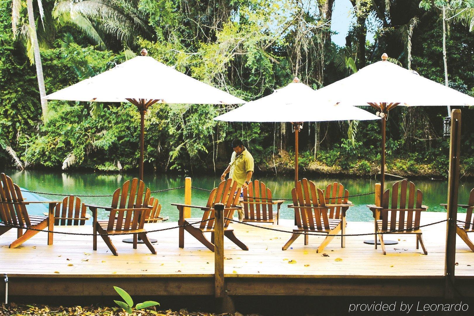 Machaca Hill Rainforest Canopy Lodge Punta Gorda Exterior foto
