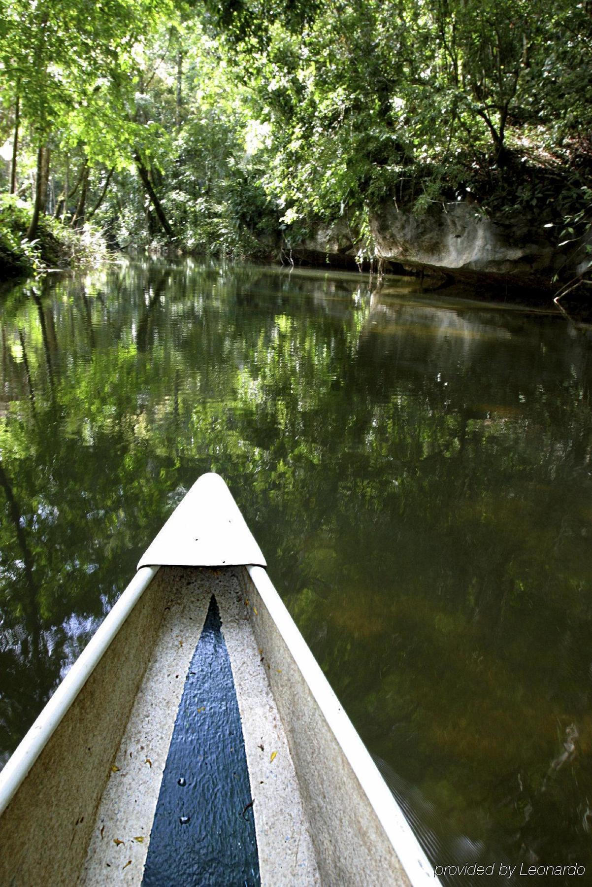 Machaca Hill Rainforest Canopy Lodge Punta Gorda Exterior foto
