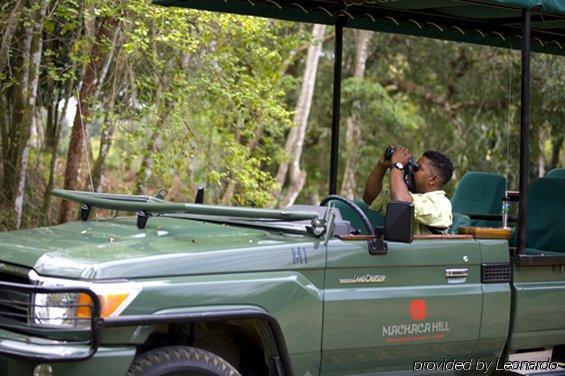 Machaca Hill Rainforest Canopy Lodge Punta Gorda Exterior foto