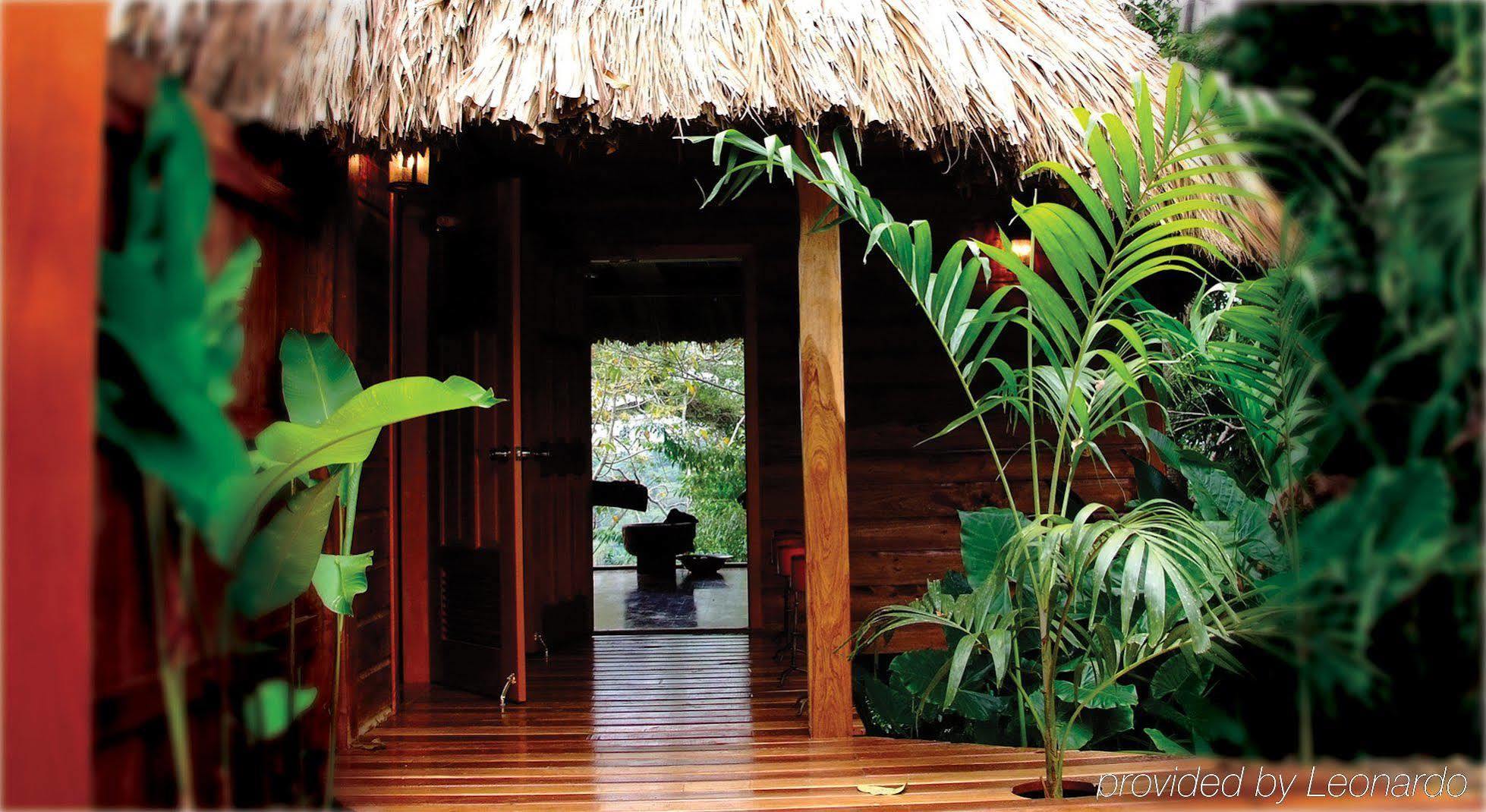 Machaca Hill Rainforest Canopy Lodge Punta Gorda Exterior foto