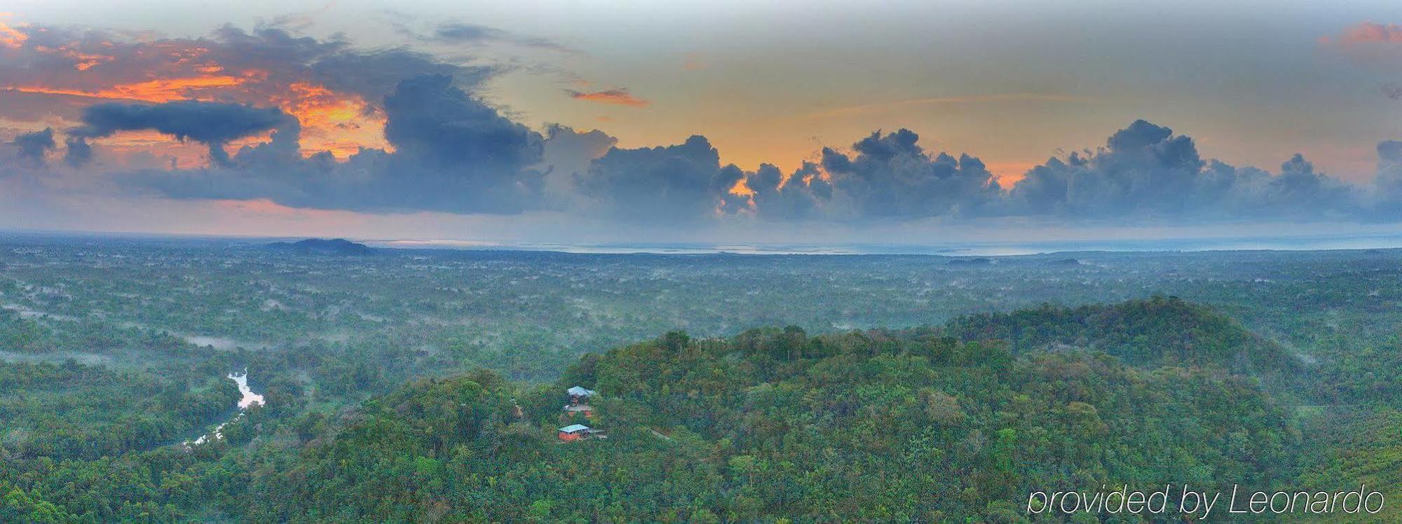Machaca Hill Rainforest Canopy Lodge Punta Gorda Exterior foto